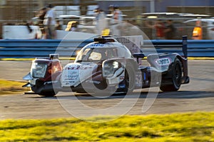 IMSA:  January 25 Rolex 24 At Daytona