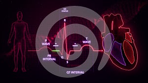 PR Segment from Electrocardiogram Wave or ECG or EKG