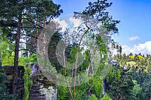 Prachov Rocks, Bohemian Paradise, Cesky Raj, Czech Republic