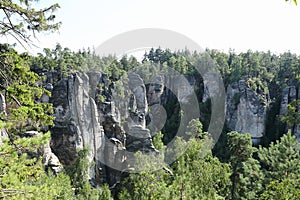 Prachov Rocks in forest