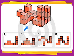 Practice Questions Worksheet for Education and IQ Test