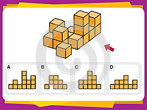 Practice Questions Worksheet for Education and IQ Test