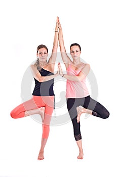 Practicing Yoga exercises in group / Tree Pose - Vrksasana