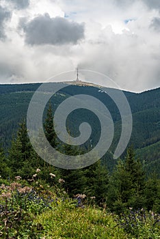 Praded hill in Jeseniky mountains in Czech republic