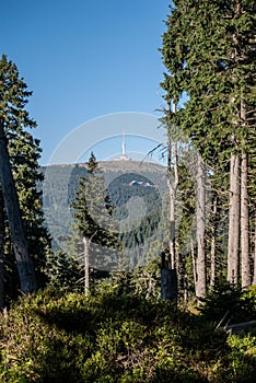 Praded hill in summer Jeseniky mountains in Czech republic