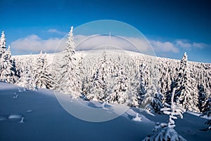 Praded hill in winter Jeseniky mountains in Czech republic