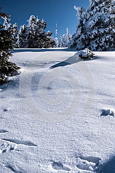 Praded hill in winter Jeseniky mountains in Czech republic