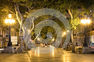 The Prado Boulevard in downtown Havana at night