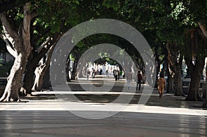 The Prado (Paseo de Marti), Havana, Cuba