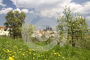 Prague Castle