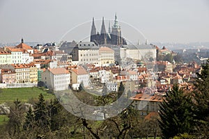 Prague Castle from Petrin Park