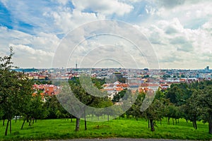 Prague Castle and Saint Vitus Cathedral, Czech Republic. Panoramic view