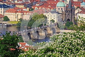 Prague - Charles bridge, Czech Republic