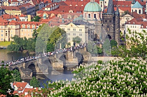 Prague - Charles bridge, Czech Republic