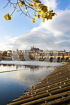 Prague with Charles Bridge and the Hradcany castle