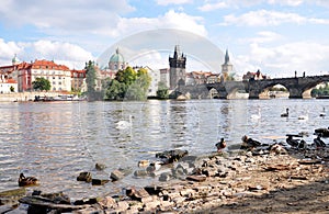 Prague, Charles Bridge and the Vltava River, Czech Republic