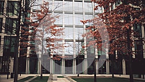 PRAGUE, CZECH REPUBLIC - DECEMBER 3, 2016. Orange and leafless autumn trees against modern glass facade business center