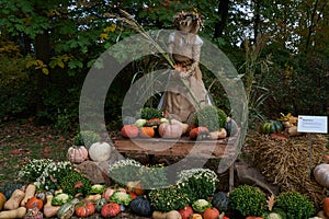 Prague, Czech Republic- October 17, 2022 - an exhibition of pumpkins in the Prague Botanical Garden