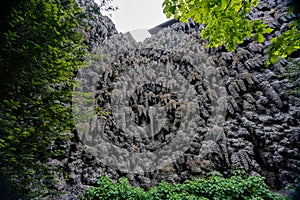 Prague Dripstone Wall
