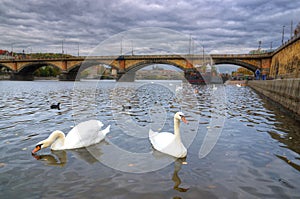 Prague,Vltava river, Hradcany castle - St. Vitus Cathedral