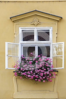 Prague. Window in the old house, decorated with flowering plants