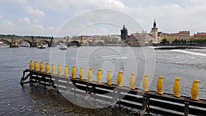 Prague yellow penguins