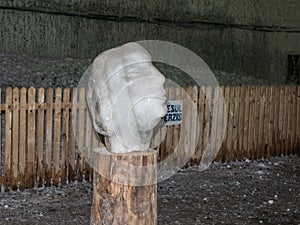 The head is carved from salt on a wooden stand in salt mines in Slanic - Salina Slanic Prahova - in the town of Prahova in Romani