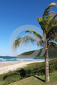 Praia Brava - FlorianÃÂ³polis, Santa Catarina - Brasil photo