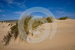 Praia da Carrapateira, Algarve, Portugal