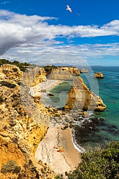 Praia da Marinha, beautiful beach Marinha in Algarve, Portugal. Navy Beach (Praia da Marinha) with flying seagulls