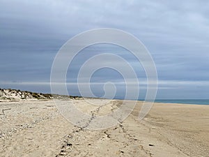 Praia do Barril beach in the Ria Formosa natural park in Luz de Tavira photo