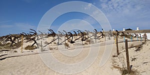 Praia do Barril beach, Tavira, Algarve, Portugal