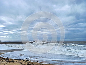 Praia do Carneiro Beach (Porto) photo