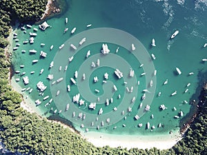 Praia do Dentista Ã¢â¬â Ilha da Gipoia, Angra Dos Reis, State of Rio de Janeiro, Brazil photo