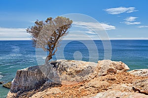 Praia do Zavial, Algarve, Portugal