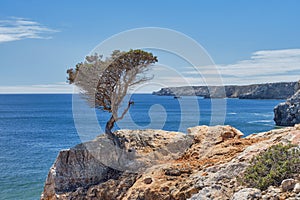 Praia do Zavial, Algarve, Portugal