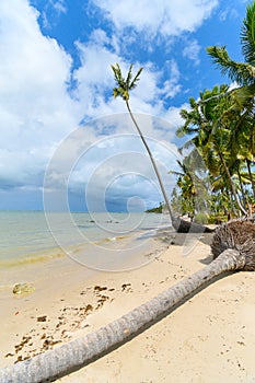 Praia dos Carneiros beach, Tamandare PE, Brazil