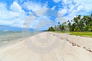 Praia dos Carneiros beach, Tamandare PE, Brazil