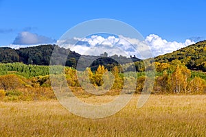 The prairie autumn scenery