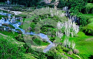 The Prairie of BaShang