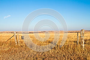 Prairie Blessing