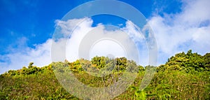 Prairie and blue sky