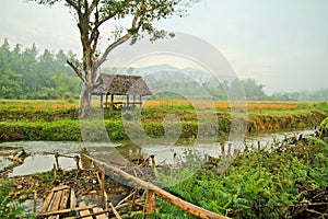 Prairie brook house mountain