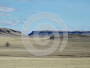 Prairie Buttes, Lone Tree