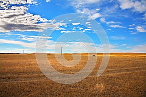 The  prairie in clear autumn day