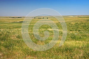 Prairie in Dakota