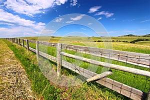 Prairie Fenceline South Dakota