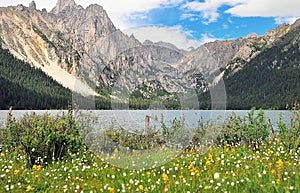 Prairie full of flowers ,High Mountain and Lake Cuopu