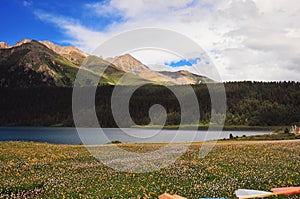 Prairie full of flowers ,High Mountain and Lake Cuopu