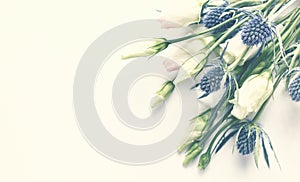 Prairie Gentian and Sea Holly Flowers on white paper background for invitations or greeting cards